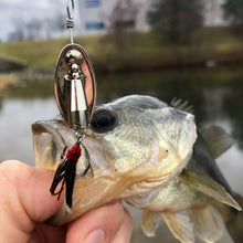 Load image into Gallery viewer, Bass caught on a Nickel roostertail (Dangle Lures Muncher [dressed]). Great lures for catching more!
