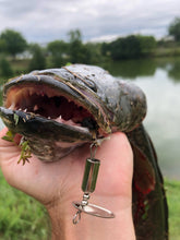 Load image into Gallery viewer, Big snakehead caught on a Nickel inline spinner (Dangle Lures Cannon). Great lures for catching more fish!
