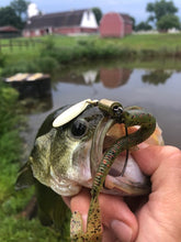 Load image into Gallery viewer, Nice Largemouth Bass caught on a brass spinnerbait (Dangle Lures Cole). The 'finesse' spinnerbait that fools more fish!