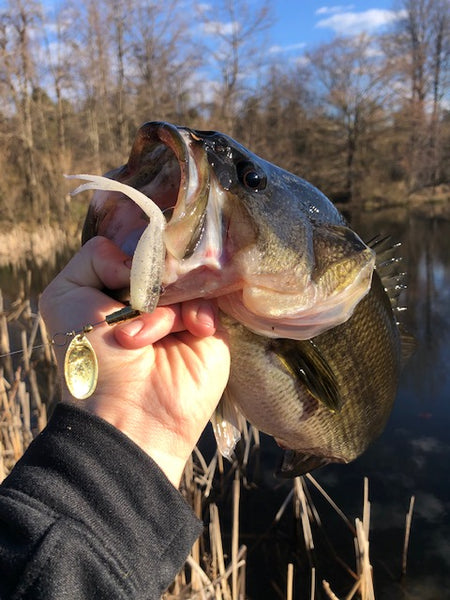 fish tales lure company Lytle's Secret Tail Spinner thumping swimming action that attracts fish easily Custom Bait - Fish Tales