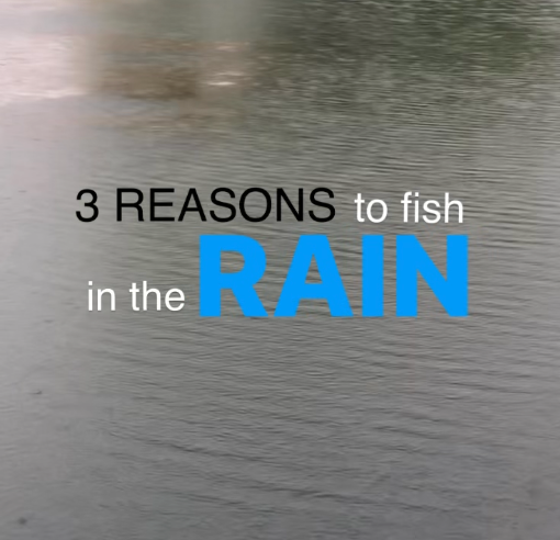 3 REASONS to Fish in the RAIN
