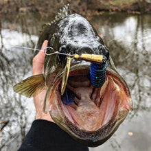 Load image into Gallery viewer, Big Bass caught on a brass spinnerbait (Dangle Lures Camden). The &#39;finesse&#39; spinnerbait, a great lure for catching big bass!
