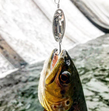 Load image into Gallery viewer, Brown trout caught on a nickel inline spinner (Dangle Lures Juice). Great lures for trout fishing!
